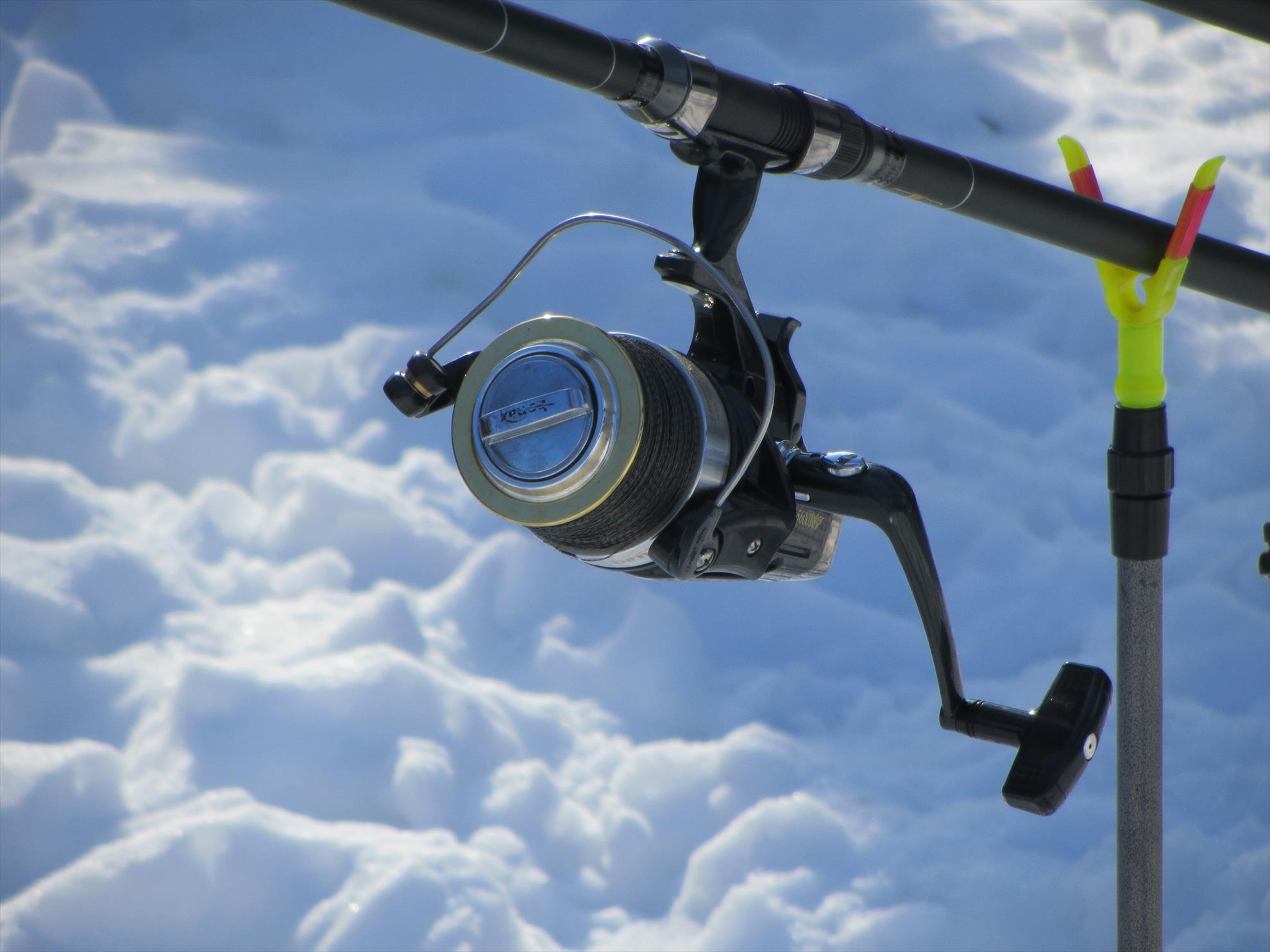 primavara?? - img2164.JPG